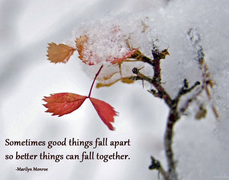 Sometimes good things fall apart so better things can fall together 