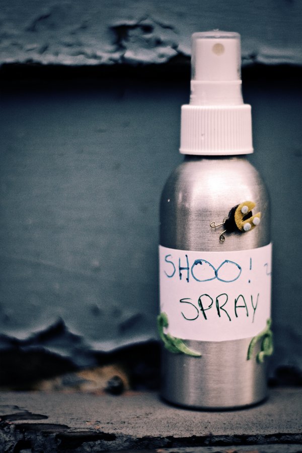 Crunchy Kids :  Shoo! Spray Homemade Insect Repellent