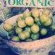 Food on Your Face : Why You Should Go Organic 2