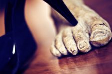 Extreme Toe Makeover : Easy Remedies for Pretty Feet