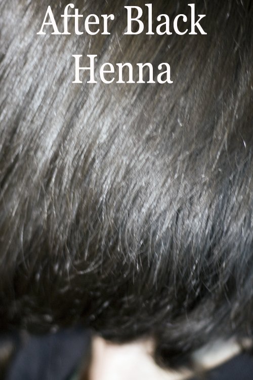 The Fine Art of Dying Your Hair with Henna