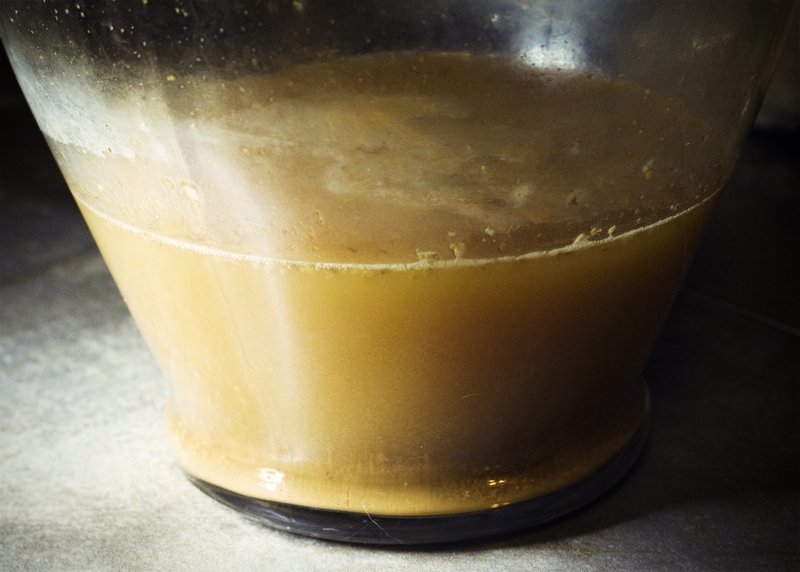 How I'm Making Apple Cider Vinegar, Hopefully 3