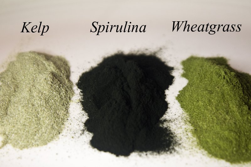 Kelp, Spirulina, and Wheatgrass: Triple Threat