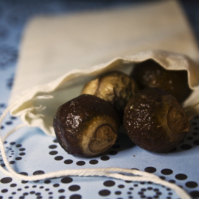 Soapnuts with Skip (Plus a Giveaway!)