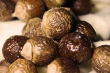 The Mother of All Soap Nuts Recipe Resources 1