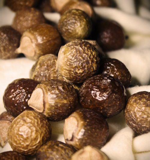 The Mother of All Soap Nuts Recipe Resources 1