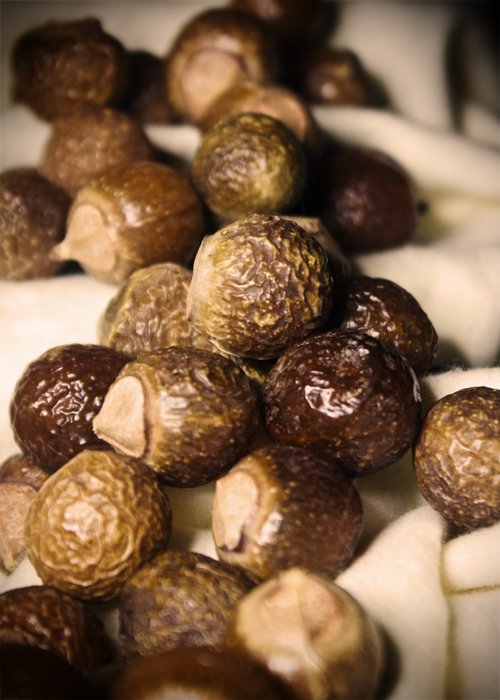 The Mother of All Soap Nuts Recipe Resources