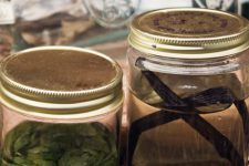 Make Your Own Heavenly Homemade Vanilla and Peppermint Extracts 8