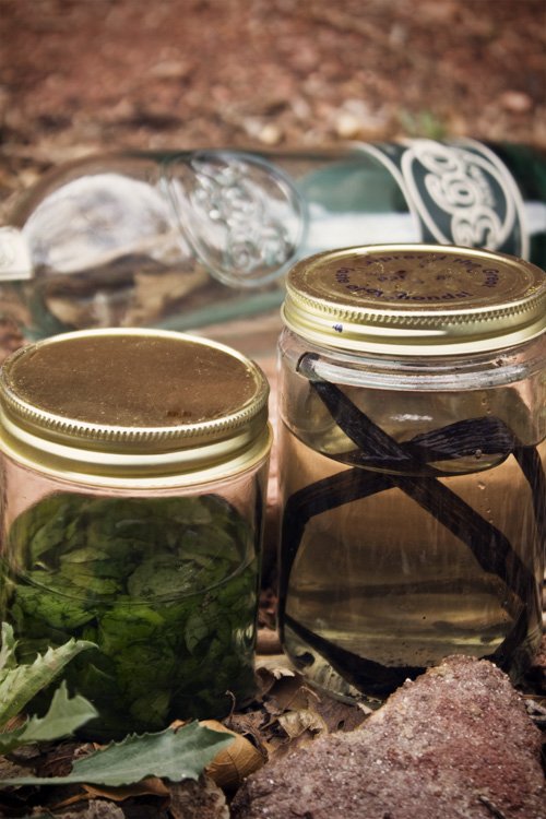 Make Your Own Heavenly Homemade Vanilla and Peppermint Extracts