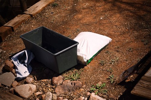 The EarthBox, the Lavender, and the Knowing