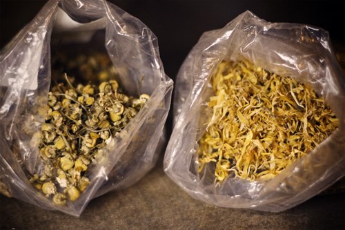 Chamomile and Calendula