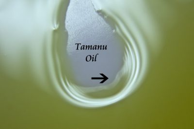 Get to Know: Tamanu Oil (for Acne, Scars, Stretch Marks, Scabies, Burns, Athlete's Foot ...)