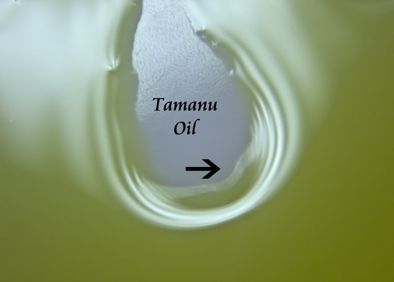 Tamanu oil up close