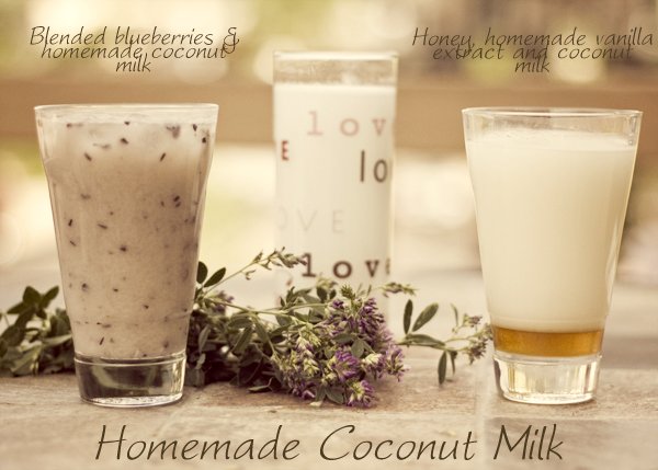 Homemade Coconut Milk - Two Ways