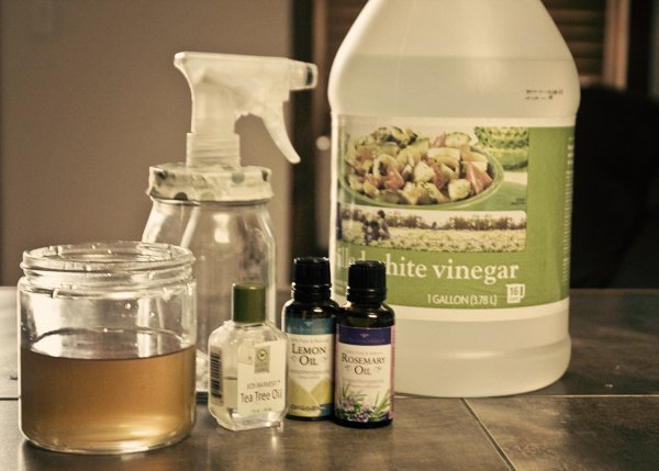 Homemade All-Purpose Cleaning Spray With Infused Vinegar