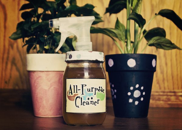 Homemade All-Purpose Cleaning Spray With Infused Vinegar