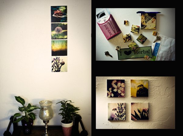 DIY Picture Tiles - You Will Never Buy a Photo Frame Again 