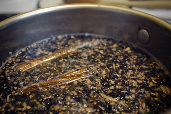 Your Natural Medicine Cabinet: Elderberry-Echinacea Syrup Recipe