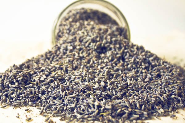 Crunchy Gift Ideas: Love ALL the Lavender!