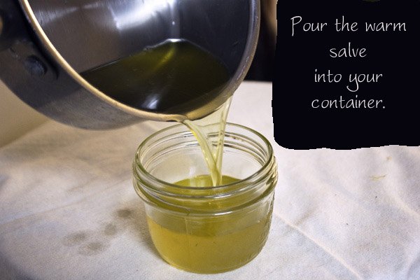 Not Your Mother's Neosporin: Healing Salve for Minor Scrapes and Burns