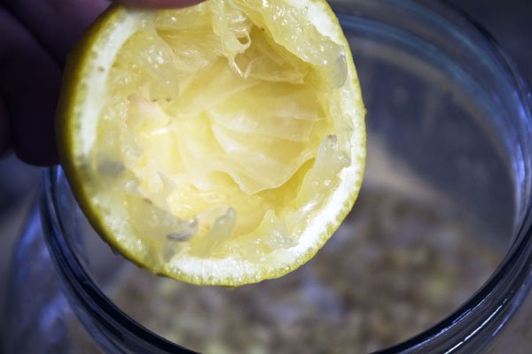 Homemade Ginger Beer: The Happy Birthday Drink