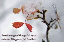 Food For Your Soul: How to Fall Apart With Grace 4