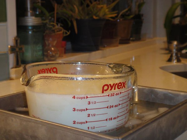 The Holy Grail of Crunchy: Making Your Own Yogurt