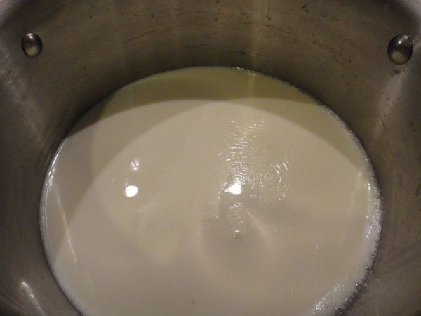 The Holy Grail of Crunchy: Making Your Own Yogurt