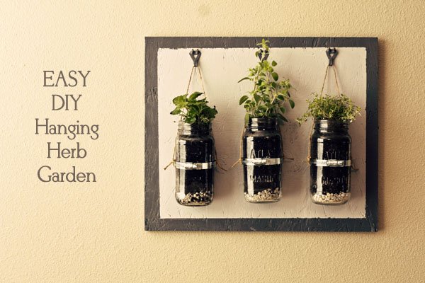 Tuesdays Outside the Box: Jars and Small-Space Gardening!