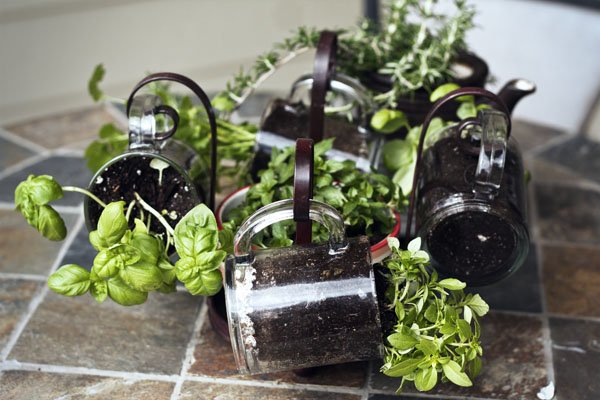 Tuesdays Outside the Box: Jars and Small-Space Gardening!