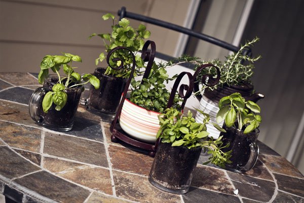 Tuesdays Outside the Box: Jars and Small-Space Gardening!