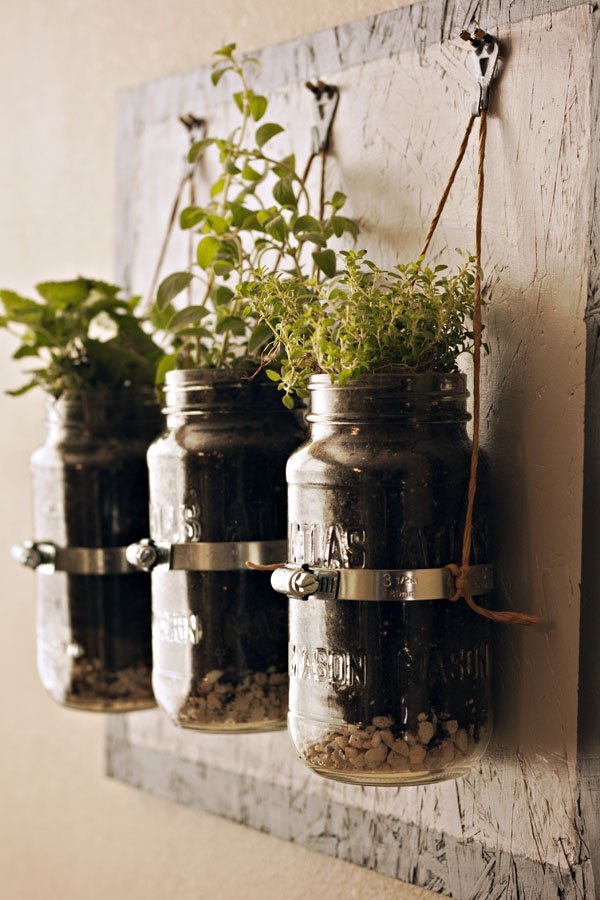 Tuesdays Outside the Box: Jars and Small-Space Gardening!