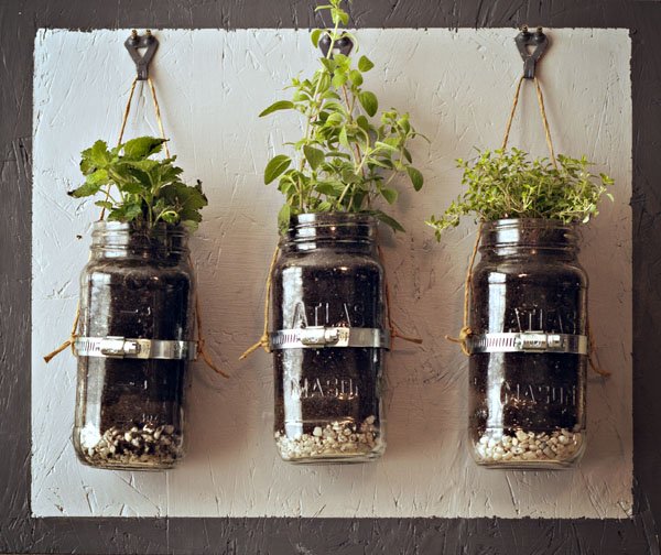 Tuesdays Outside the Box: Jars and Small-Space Gardening!