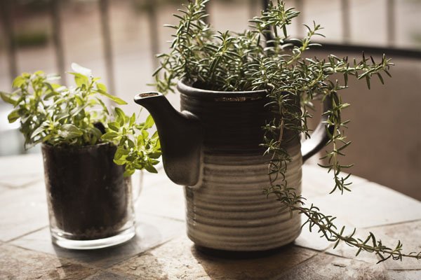 Tuesdays Outside the Box: Jars and Small-Space Gardening!