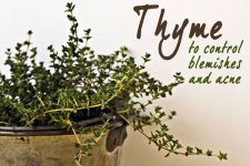 Thyme: To Control Blemishes and Acne 1