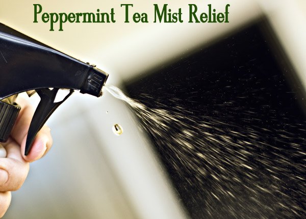 peppermint tea mist relief
