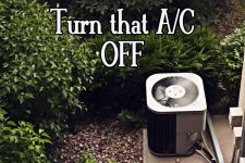 Turn That A/C Off: Clever Ways to Keep Your Sanity When It's Sweltering 4