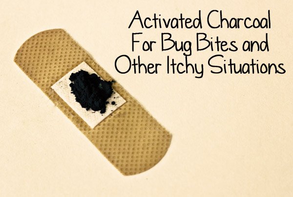 Activated Charcoal For Bug Bites