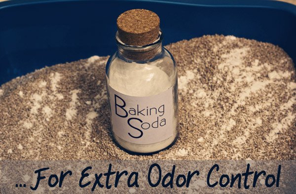 Baking Soda For Odor Control