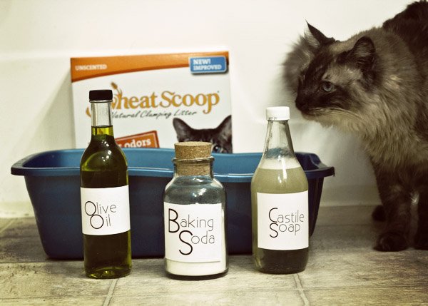Ingredients for a Natural Litter Box