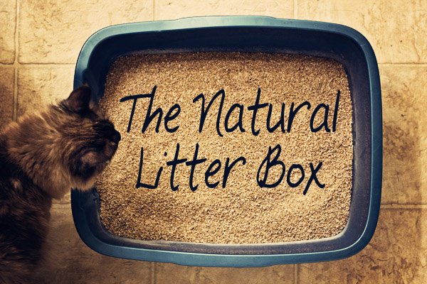 How to Keep a Natural Litter Box and Other Cat-Related Nonsense