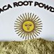 Get to Know: Lusty Maca Root Powder 5