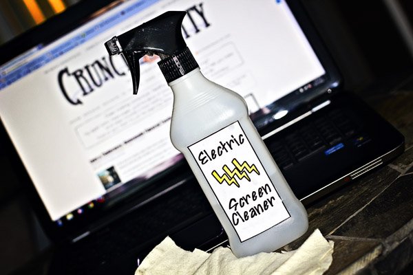 DIY Computer and TV Screen Cleaner • The Prairie Homestead