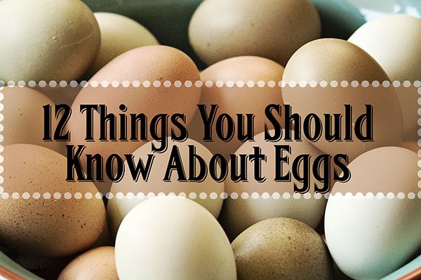 12 Things You Should Know About Eggs