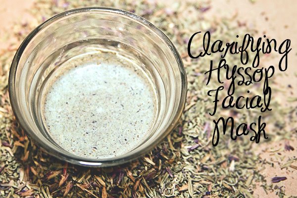 DIY Hyssop Face Mask Recipe for (Naturally) Gorgeous Skin