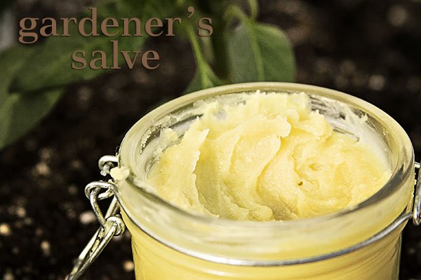 How to Make Gardener's Salve