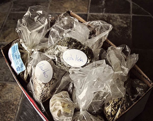 These are the herbs that live in the box that sits in the cabinet that stays in the house that Betty ... cleans. Sometimes.