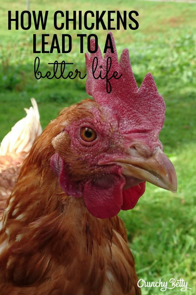 How Chickens Lead to a Better Life 4