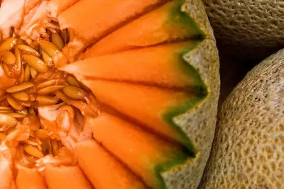 Farmers Market Facials - Cantaloupe 2