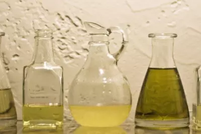 Nitty Gritty on the Oil Cleansing Method 1